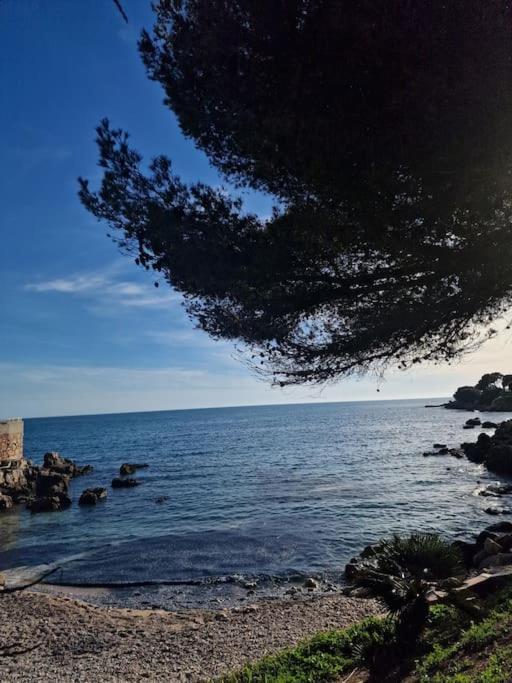 T2 Neuf, Parking Prive,Acces Mer Bandol Esterno foto